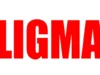 Understanding the Cultural Phenomenon of Ligma ligma