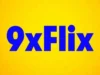 9xflix Movie Guide: What It Is, Risks, and Legal Options 9xflix movie